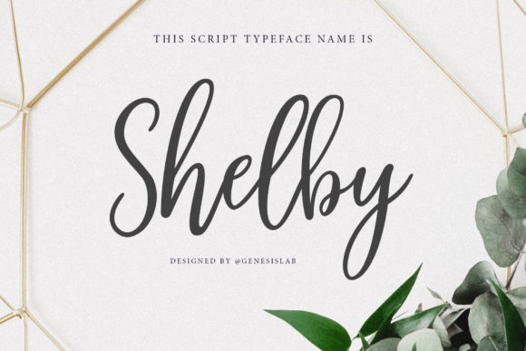Shelby Script: Blending Classic Charm with Modern Flair